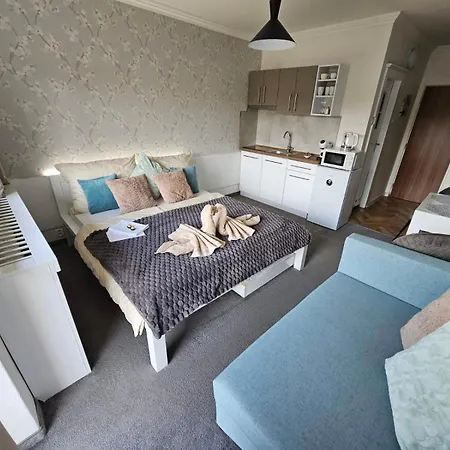 Filip Wellness,kryty Bazen アパート